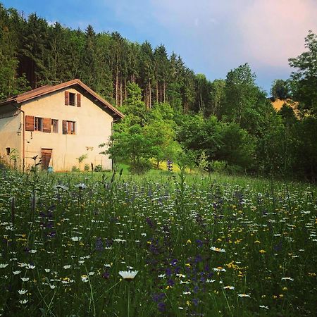 Alla Casetta B&B Cesiomaggiore Bagian luar foto