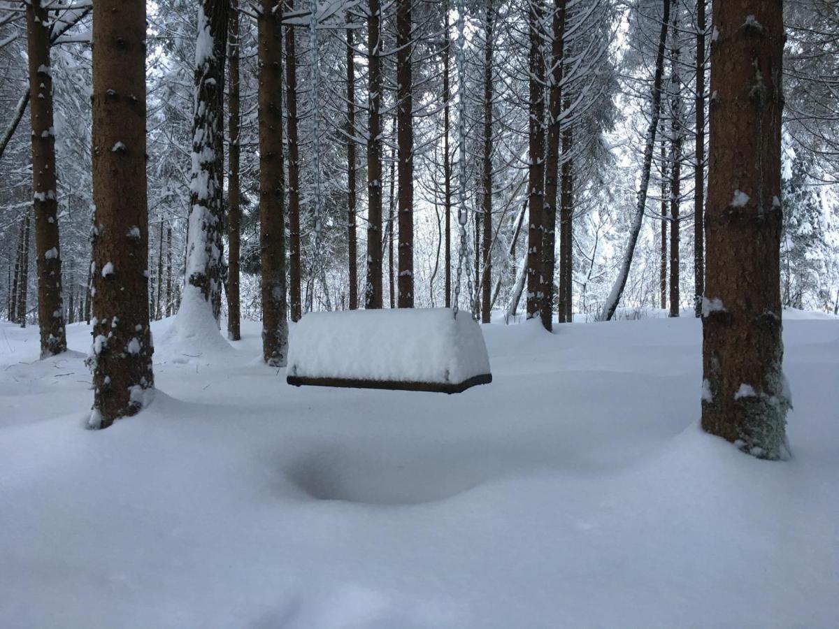 Alla Casetta B&B Cesiomaggiore Bagian luar foto