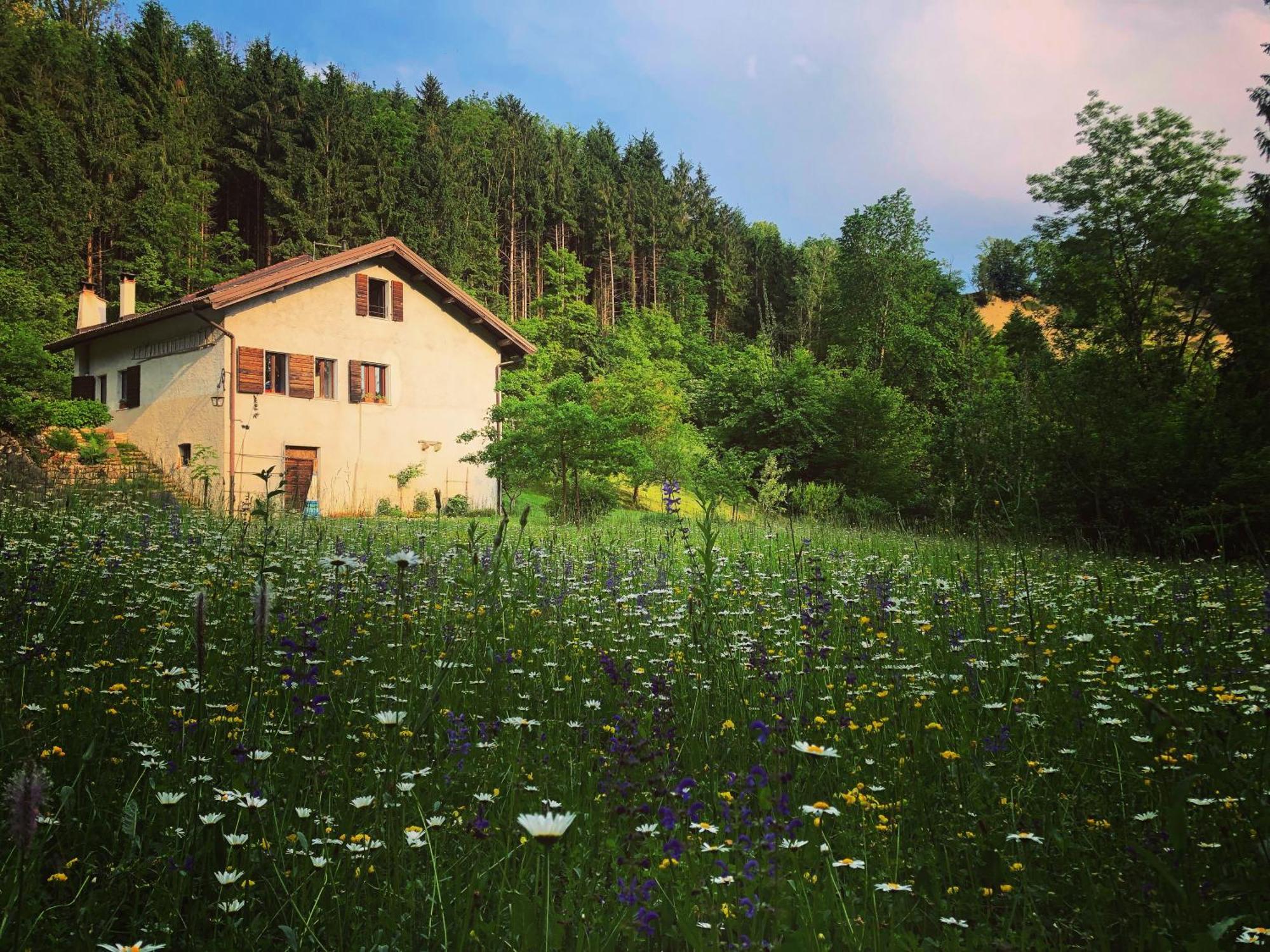 Alla Casetta B&B Cesiomaggiore Bagian luar foto