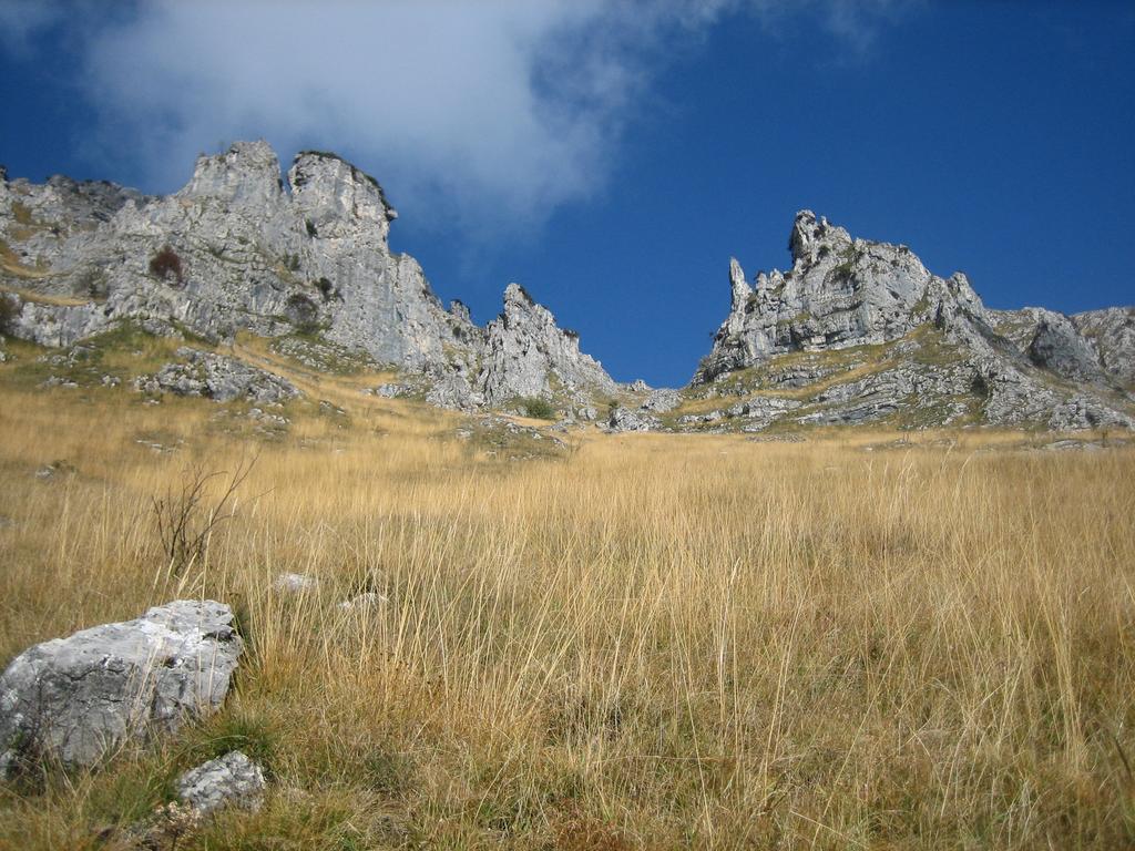 Alla Casetta B&B Cesiomaggiore Bagian luar foto