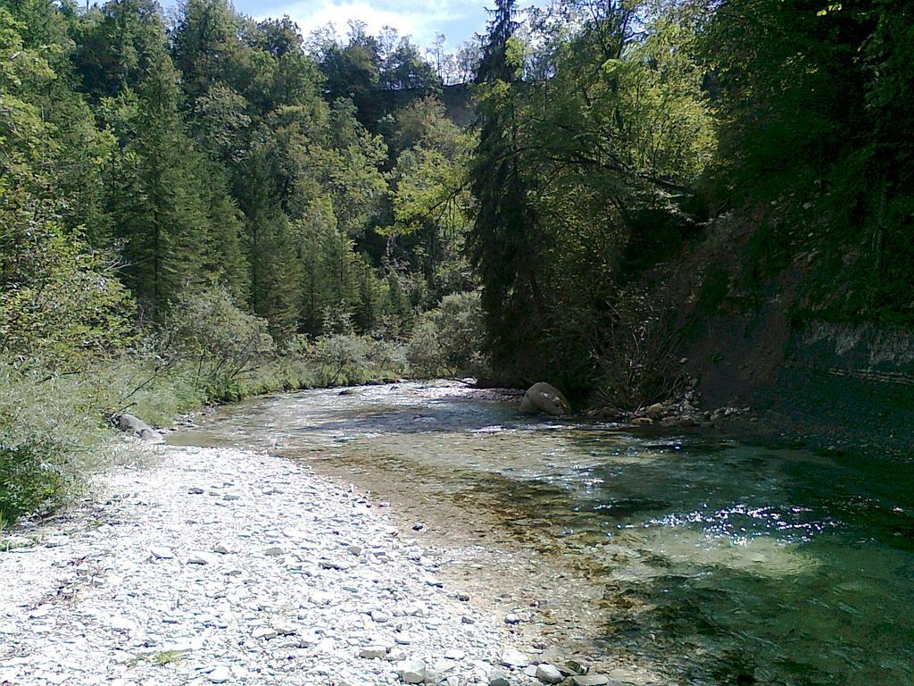 Alla Casetta B&B Cesiomaggiore Bagian luar foto